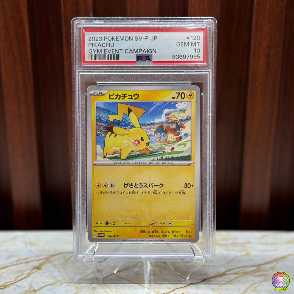 PSA 10 Pokémon Japanese Pikachu Gym Event Campaign 120/SV-P | Graded Slab